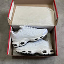 Nike Air Max Tn